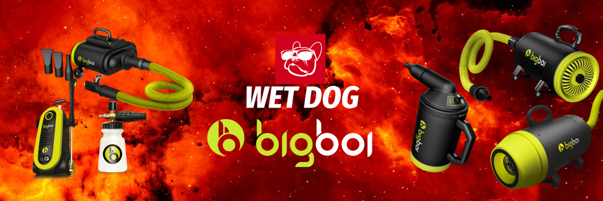 Wet Dog Big Boi Singapore
